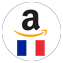 Amazon FR Icon