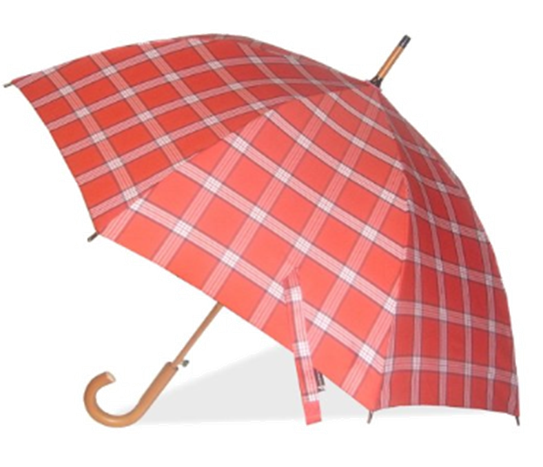 umbrella