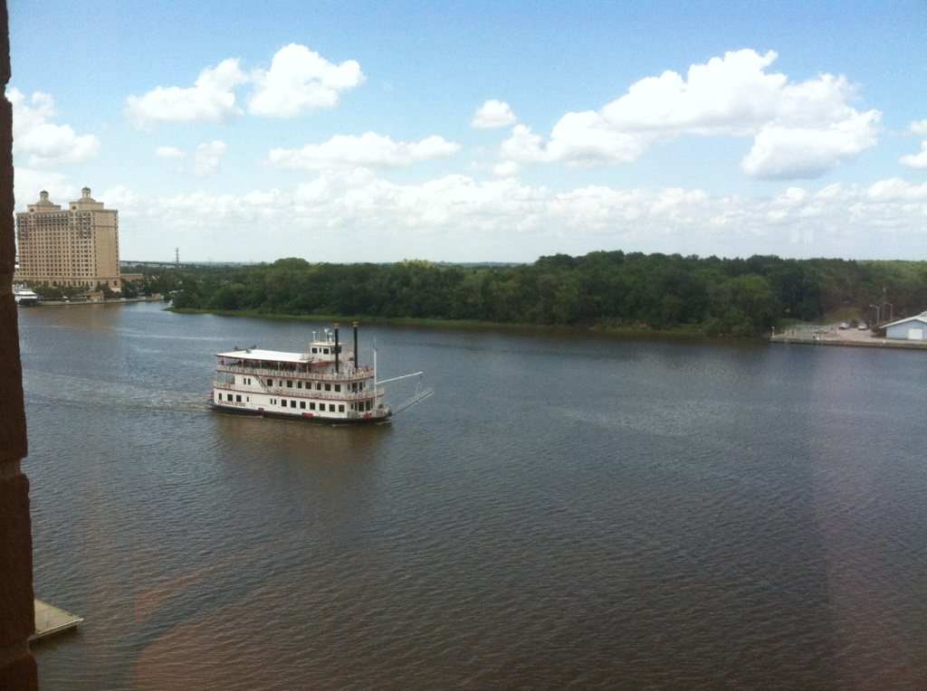 Savannah view.jpg