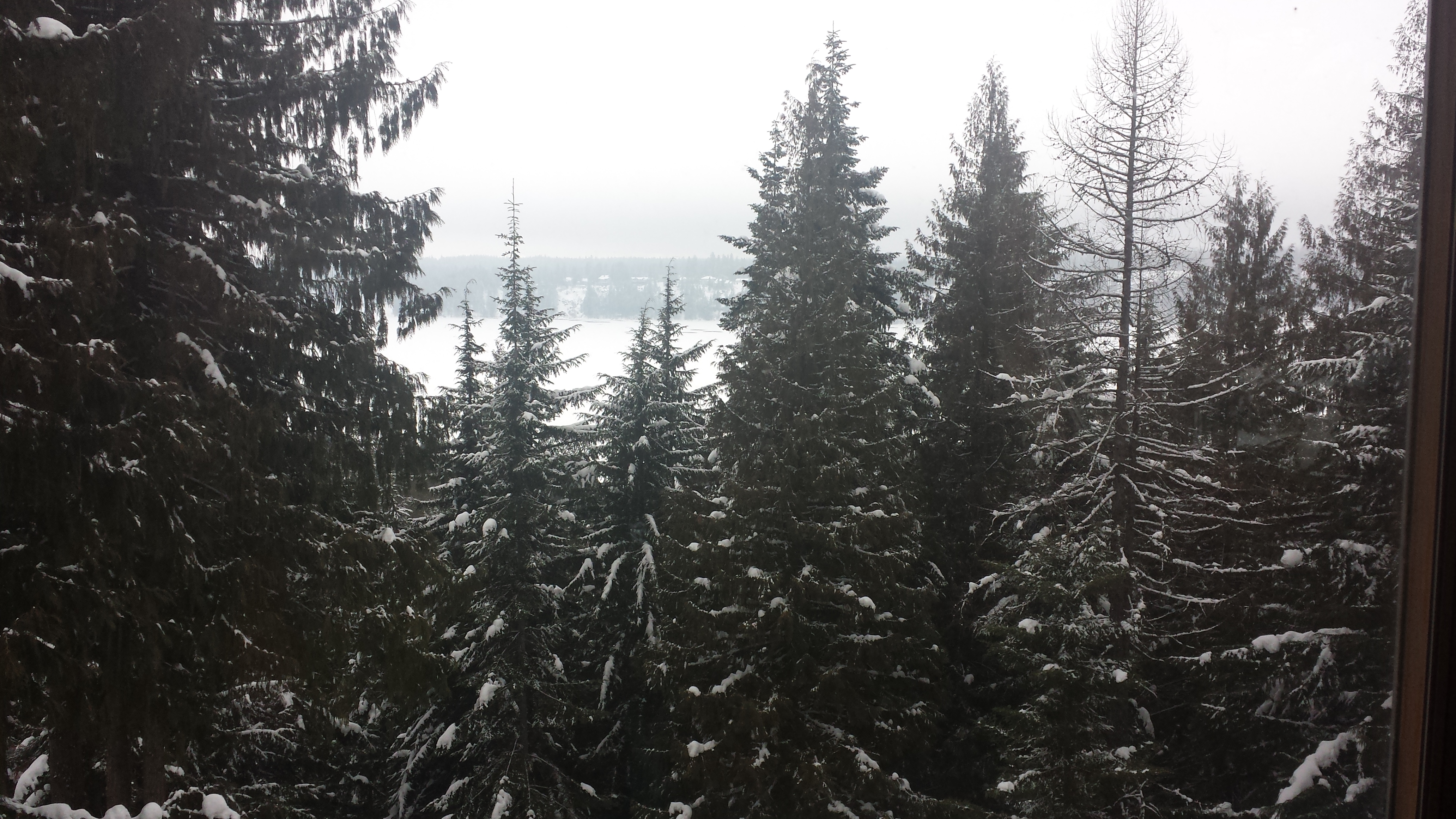 view