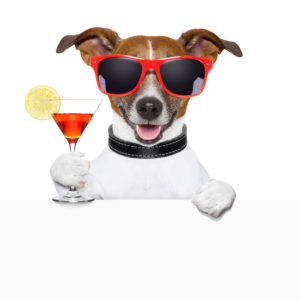 funny cocktail dog behind a white banner